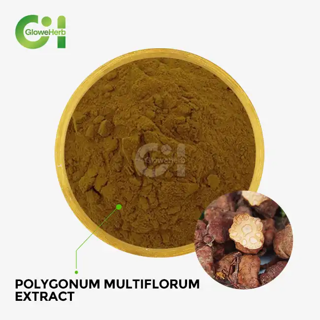 Polygonum multiflorum extract